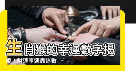 猴子代表數字|屬猴人的幸運數字是什麼？揭開生肖猴的命理奧秘